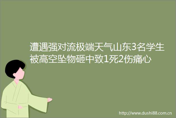 遭遇强对流极端天气山东3名学生被高空坠物砸中致1死2伤痛心