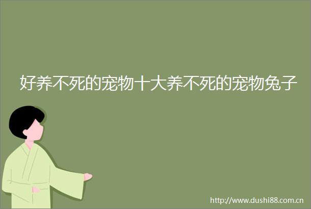 好养不死的宠物十大养不死的宠物兔子