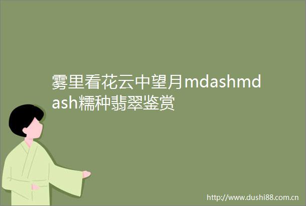 雾里看花云中望月mdashmdash糯种翡翠鉴赏