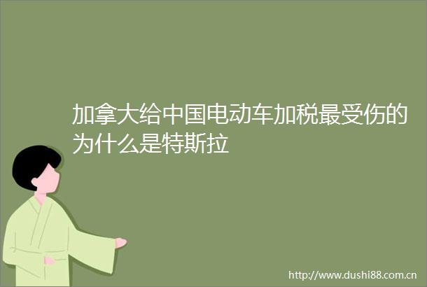 加拿大给电动车加税最受伤的为什么是特斯拉