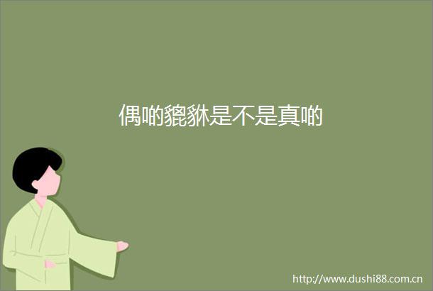 偶啲貔貅是不是真啲