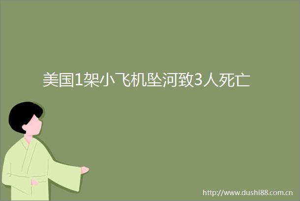 美国1架小飞机坠河致3人死亡