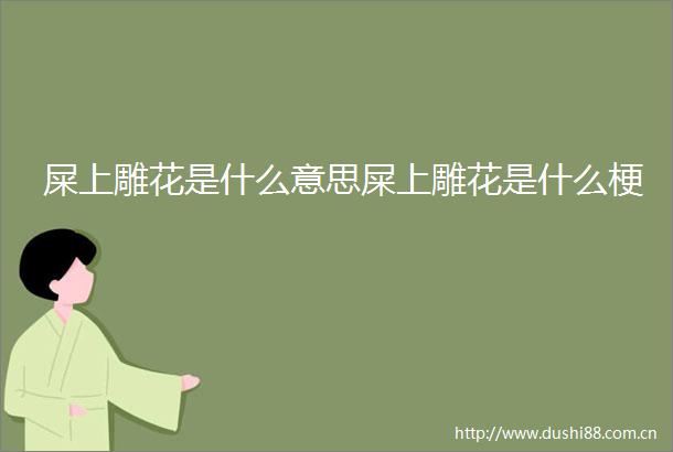 屎上雕花是什么意思屎上雕花是什么梗