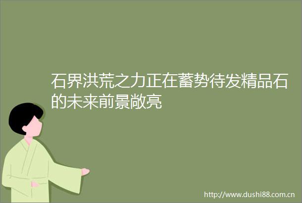 石界洪荒之力正在蓄势待发精品石的未来前景敞亮