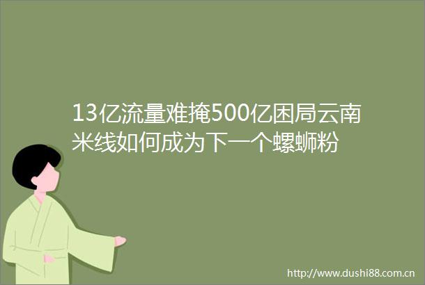 13亿流量难掩500亿困局云南米线如何成为下一个螺蛳粉