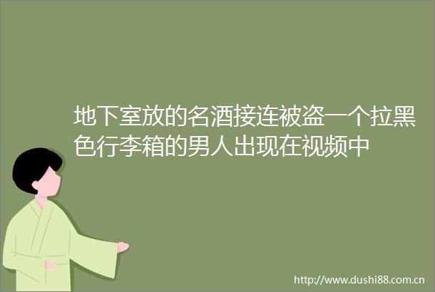 地下室放的名酒接连被盗一个拉黑色行李箱的男人出现在视频中
