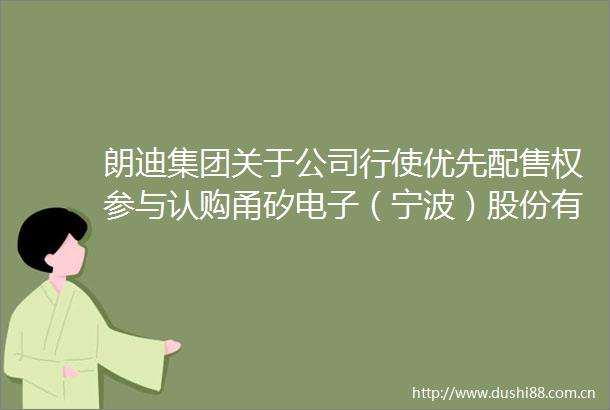 朗迪集团关于公司行使优先配售权参与认购甬矽电子（宁波）股份有限公司向不特定对象发行可转换公司债券的公告
