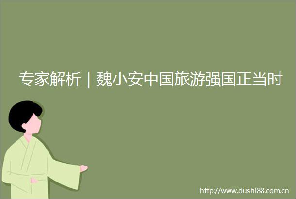 专家解析｜魏小安旅游强国正当时