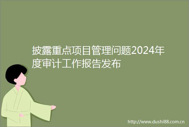 披露重点项目管理问题2024年度审计工作报告发布