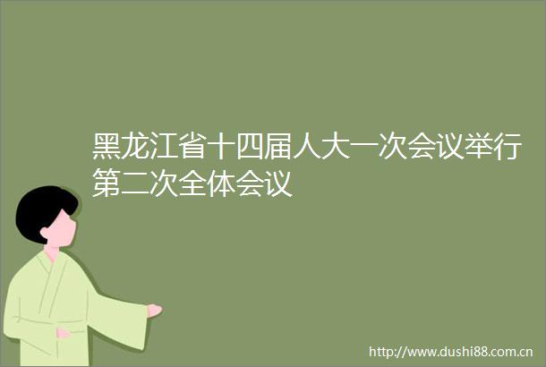 黑龙江省十四届人大一次会议举行第二次全体会议