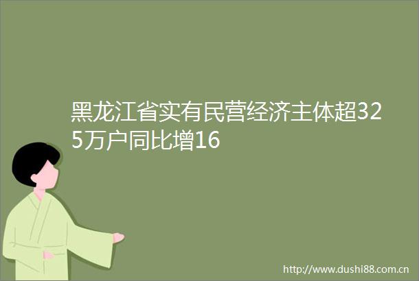 黑龙江省实有民营经济主体超325万户同比增16