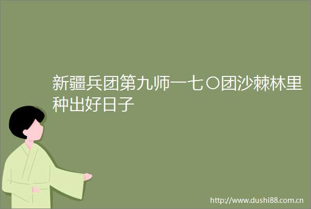 新疆兵团第九师一七〇团沙棘林里种出好日子