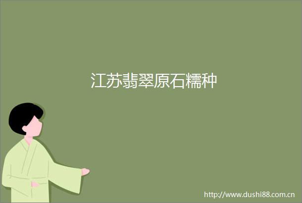 江苏翡翠原石糯种
