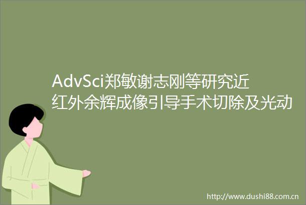 AdvSci郑敏谢志刚等研究近红外余辉成像引导手术切除及光动力化疗协同治疗乳腺癌