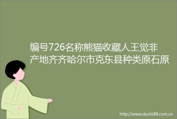 编号726名称熊猫收藏人王觉非产地齐齐哈尔市克东县种类原石原石石头长8（cm）石头宽5（cm）石头高12（cm）