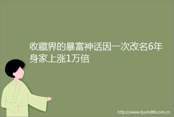 收藏界的暴富神话因一次改名6年身家上涨1万倍