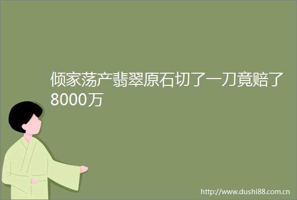 倾家荡产翡翠原石切了一刀竟赔了8000万