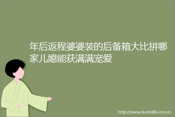 年后返程婆婆装的后备箱大比拼哪家儿媳能获满满宠爱