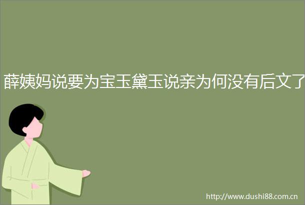 薛姨妈说要为宝玉黛玉说亲为何没有后文了