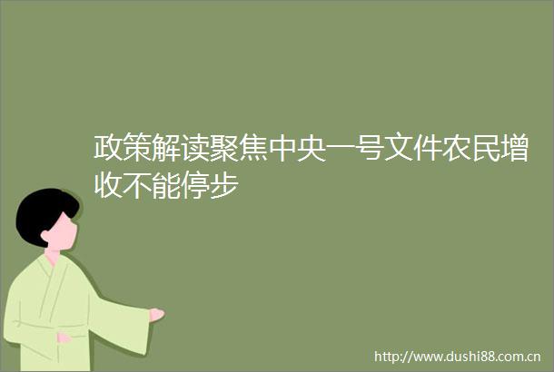 政策解读聚焦中央一号文件农民增收不能停步