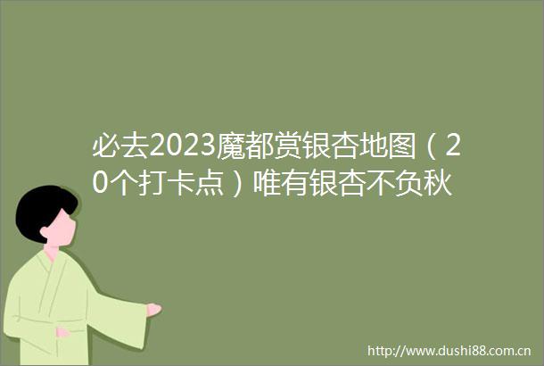 必去2023魔都赏银杏地图（20个打卡点）唯有银杏不负秋