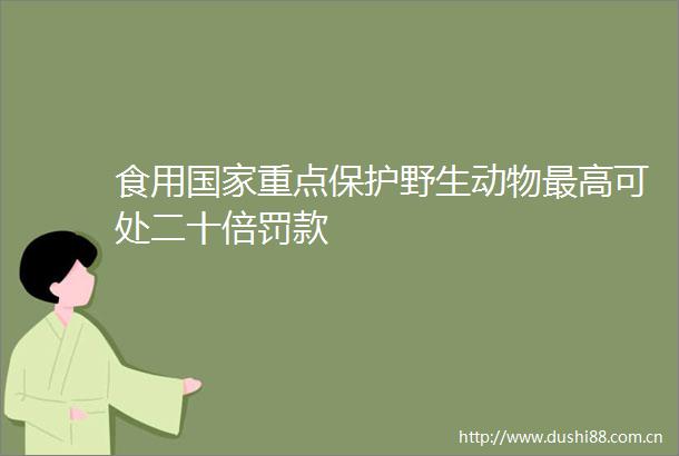 食用重点保护野生动物最高可处二十倍罚款