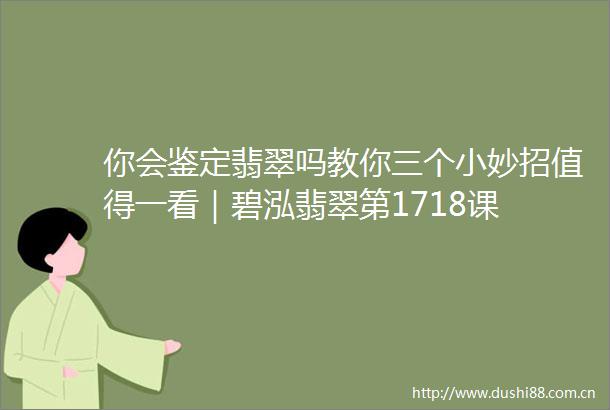 你会鉴定翡翠吗教你三个小妙招值得一看｜碧泓翡翠第1718课