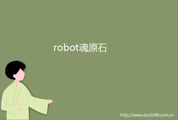 robot魂原石