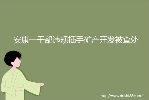 安康一插手矿产开发被查处