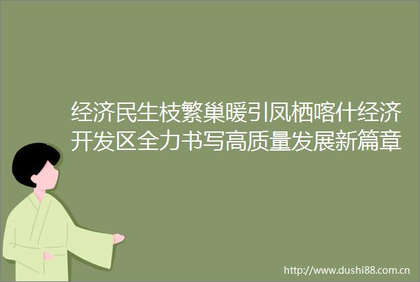 经济民生枝繁巢暖引凤栖喀什经济开发区全力书写高质量发展新篇章