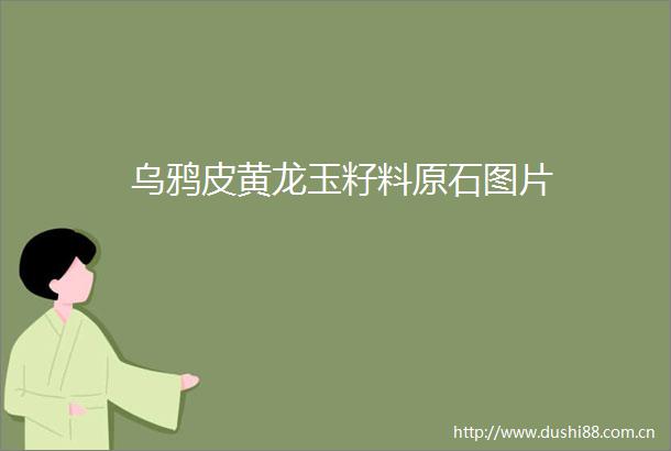乌鸦皮黄龙玉籽料原石图片