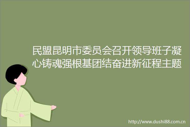 民盟昆明市委员会召开班子凝心铸魂强根基团结奋进新征程主题教育专题民主生活会