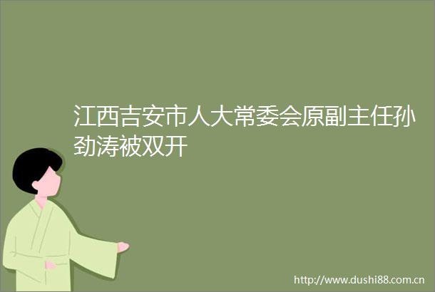 江西吉安市人大常委会原副主任孙劲涛被双开
