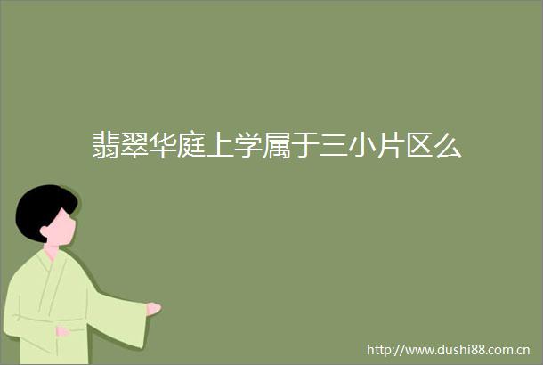 翡翠华庭上学属于三小片区么