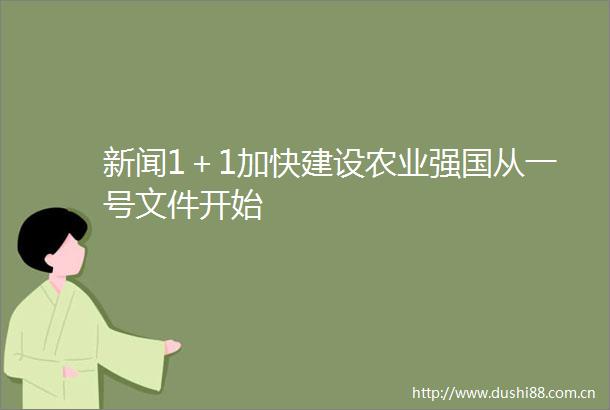 新闻1＋1加快建设农业强国从一号文件开始