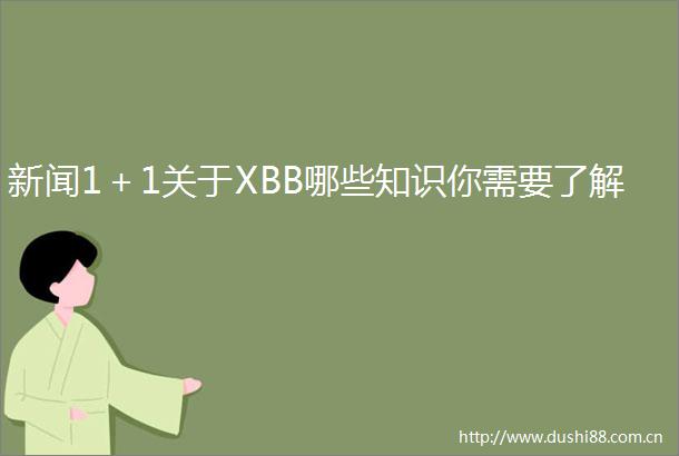 新闻1＋1关于XBB哪些知识你需要了解