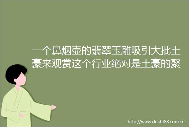一个鼻烟壶的翡翠玉雕吸引大批土豪来观赏这个行业绝对是土豪的聚集地