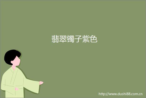 翡翠镯子紫色