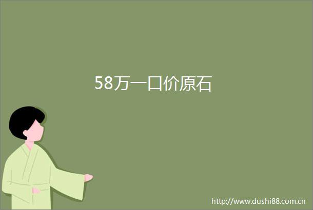 58万一口价原石
