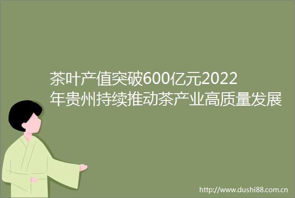 茶叶产值突破600亿元2022年贵州持续推动茶产业高质量发展