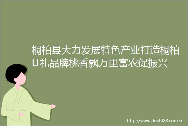 桐柏县大力发展特色产业打造桐柏U礼品牌桃香飘万里富农促振兴