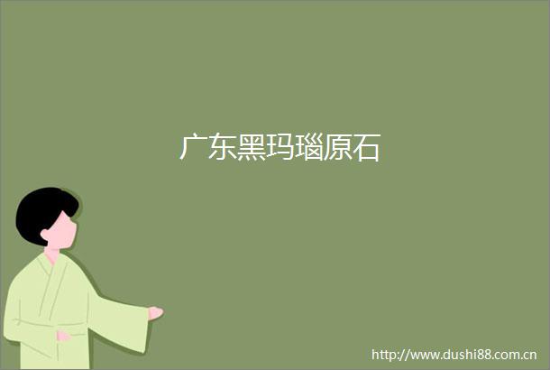广东黑玛瑙原石