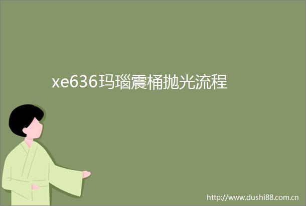 xe636玛瑙震桶抛光流程