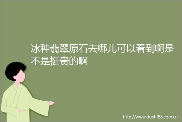 冰种翡翠原石去哪儿可以看到啊是不是挺贵的啊