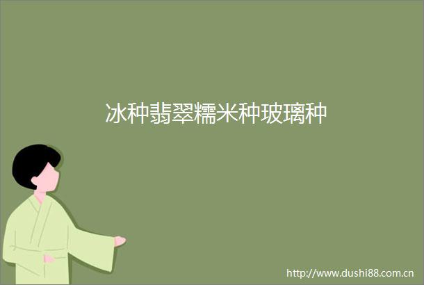 冰种翡翠糯米种玻璃种