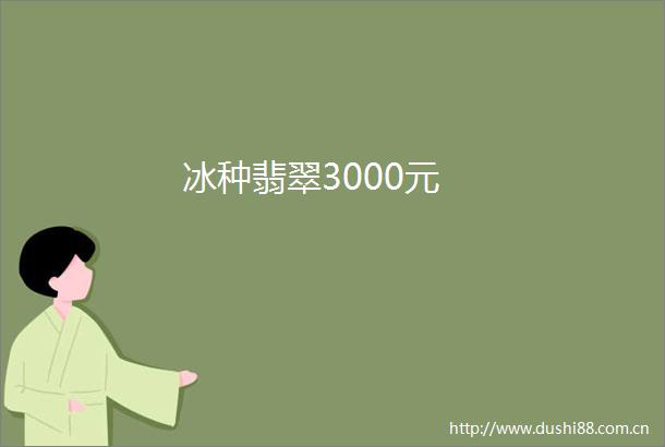 冰种翡翠3000元
