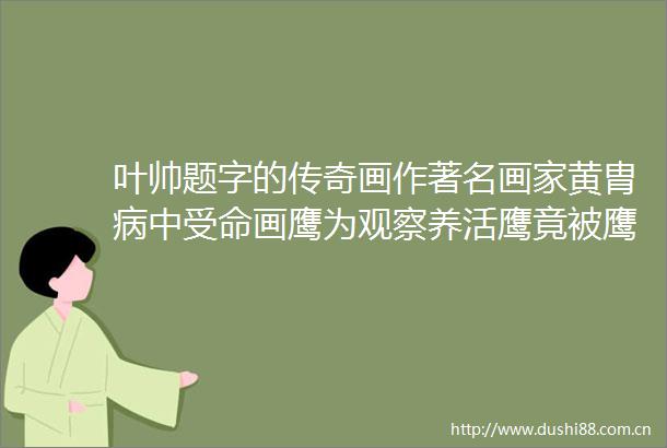 叶帅题字的传奇画作著名画家黄胄病中受命画鹰为观察养活鹰竟被鹰吃穷邻居黄永玉拿过来我养吧