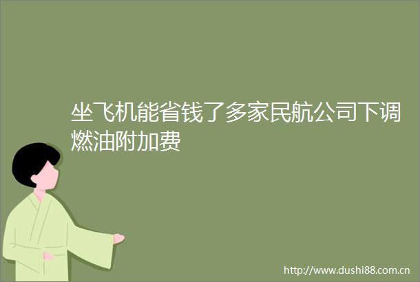 坐飞机能省钱了多家民航公司下调燃油附加费