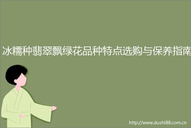 冰糯种翡翠飘绿花品种特点选购与保养指南