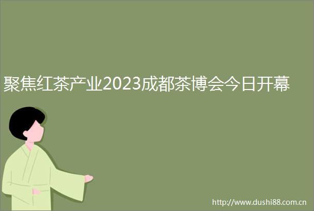 聚焦红茶产业2023成都茶博会今日开幕